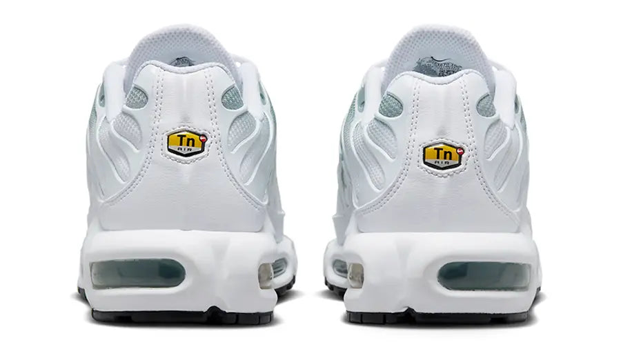 Grey air 2025 max plus tn